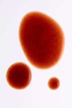 Immunity Rescue Shot - 30 Pack -Alo Fashion Store N1008F 00 b1 a3 e4652d57 b490 4ef5 ba73 6844726994ae