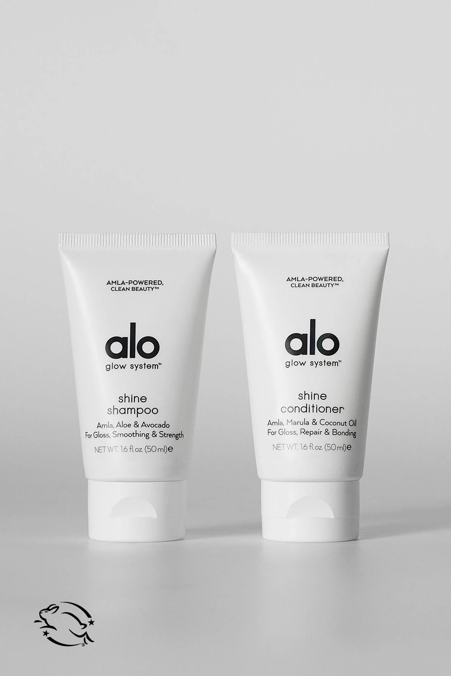 Shine & Strength Hair Duo 1 Shine & Strength Hair Duo