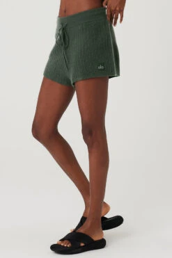 Cashmere High-Waist Plush Waffle Short - Dark Cactus 6 Cashmere High-Waist Plush Waffle Short - Dark Cactus -Alo Fashion Store W6342R 04059 b1 s1 a2 1 m100